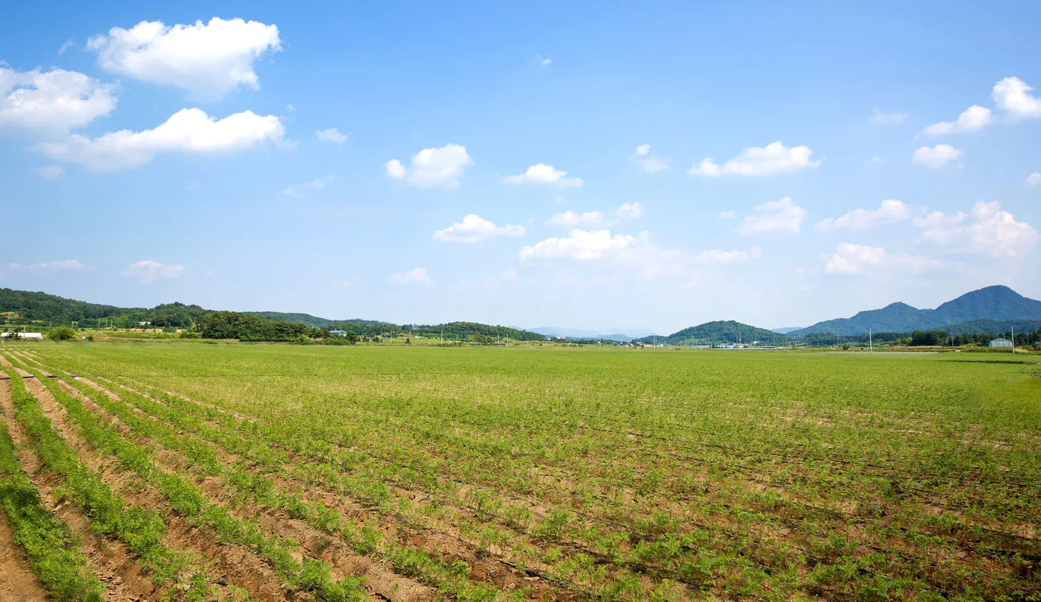 Qimei organic farms
